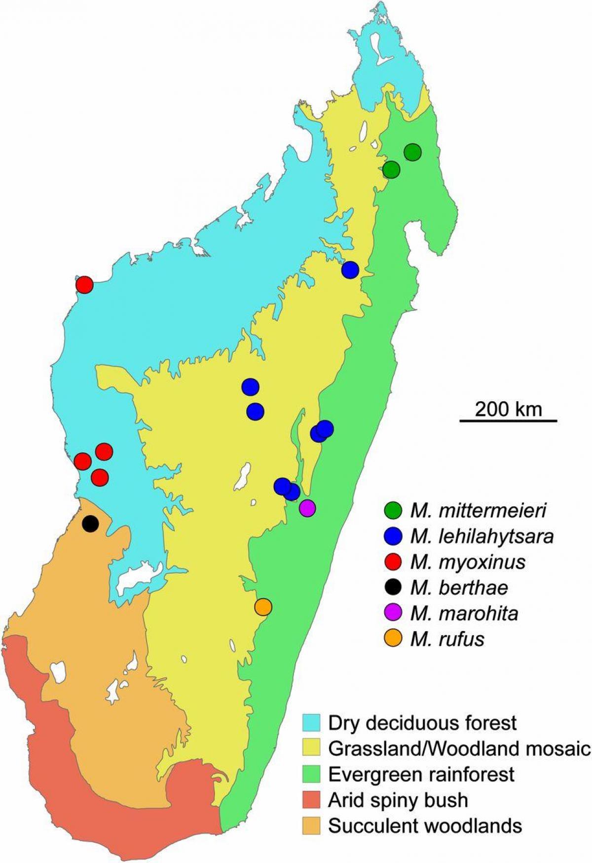 mapa Madagascar oihana