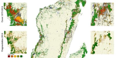 Mapa Madagascar deforestazioa