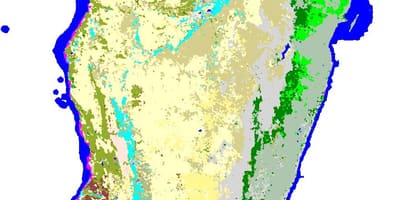 Mapa Madagascar landaretza